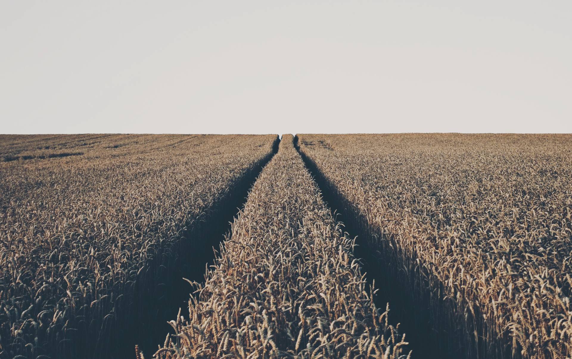 Pulverizadores Rocha - Home 01