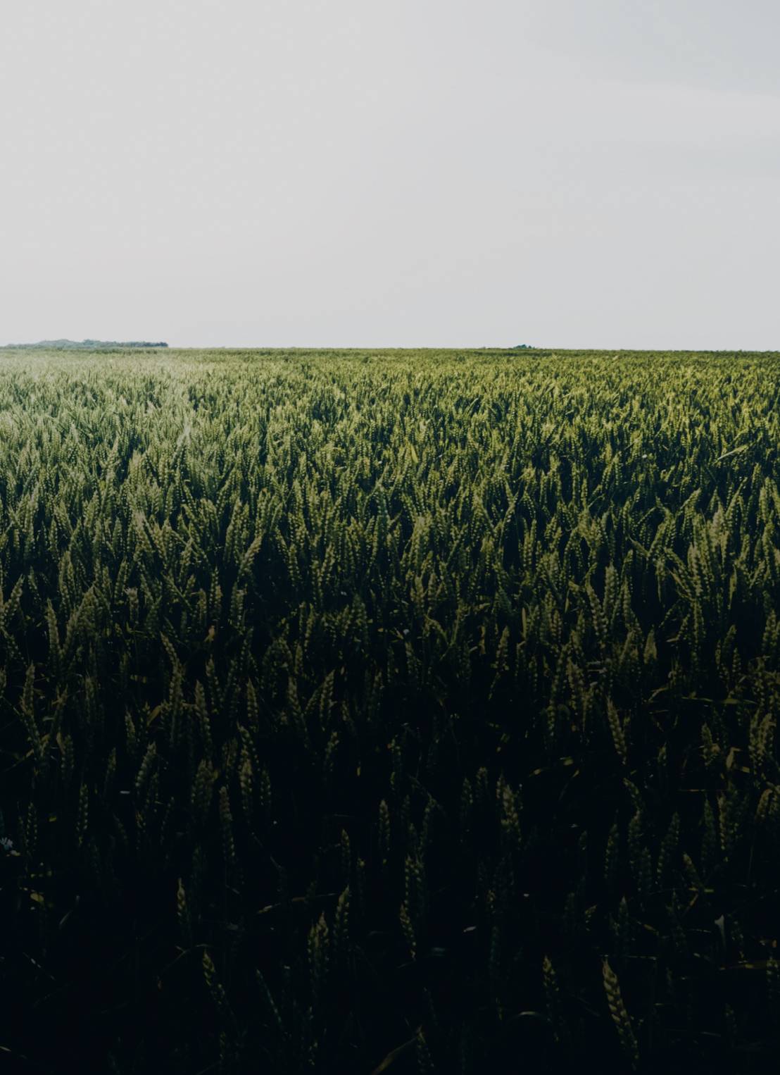  PulverizadoresJato Projetado