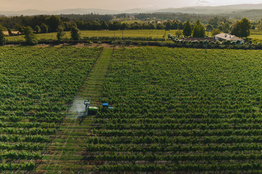 Pragas comuns na agricultura em Portugal