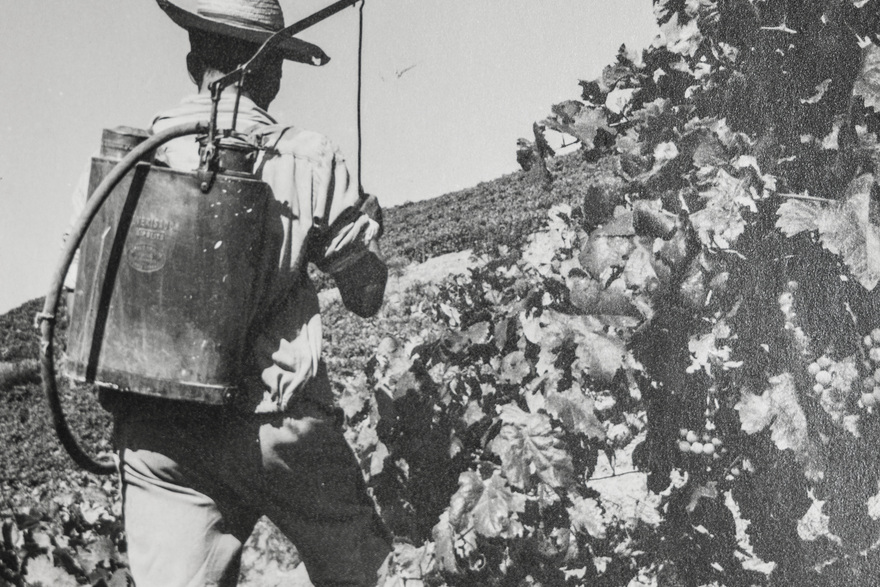 Rocha Sprayer, 