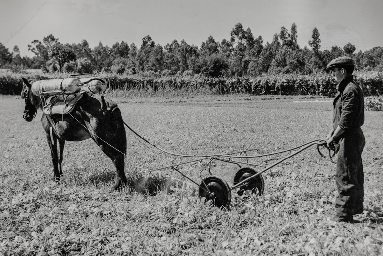 Pulverizador de tração animal