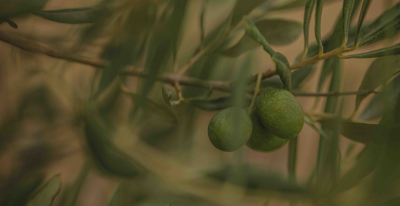 The Role of Climate in Agriculture