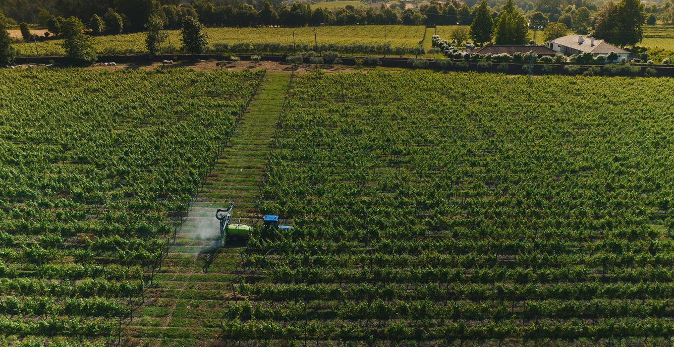 Common Pests in Agriculture in Portugal
