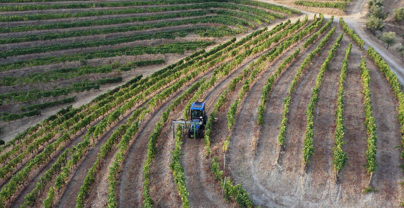 Inovação e Internacionalização